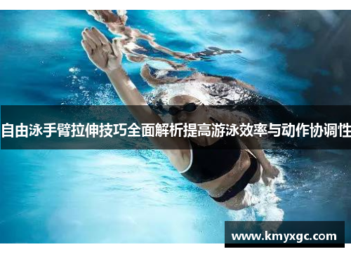 自由泳手臂拉伸技巧全面解析提高游泳效率与动作协调性