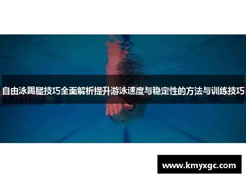 自由泳踢腿技巧全面解析提升游泳速度与稳定性的方法与训练技巧