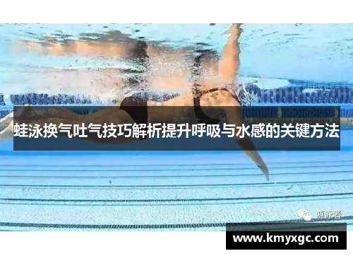 蛙泳换气吐气技巧解析提升呼吸与水感的关键方法